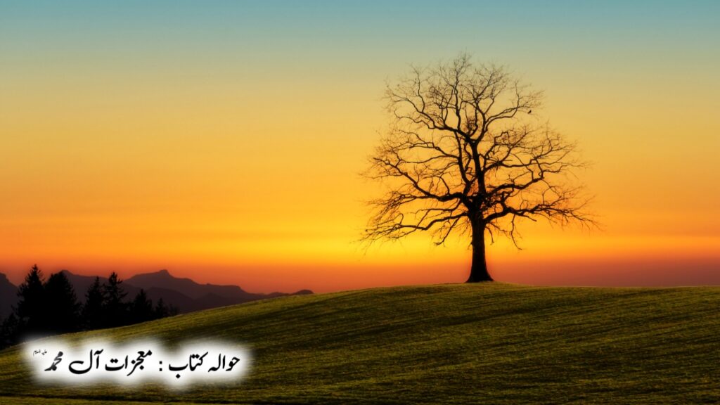 Evening tree | Garden | Haadi Online Store | Mujzat e Ale Muhammad | The tree