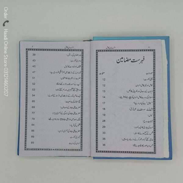Insan e Kamil | انسان کامل